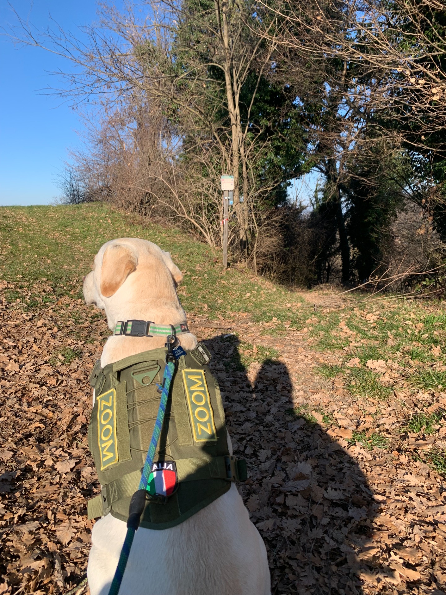 inizio Sentiero ponticelli